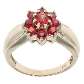 9ct Yellow Gold Red Gemstone Cluster Ring