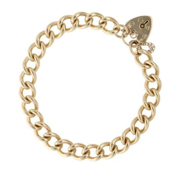 9ct Yellow Gold Charm Bracelet 8"