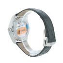 Omega Seamaster Pre Owned Watch Ref 22013382030001