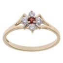 9ct Yellow Gold Garnet and Cubic Zirconia Cluster Ring