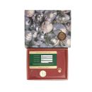 Rolex Custom Oyster Perpetual Date Pre Owned Watch Ref 69240