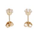 9ct Yellow Gold 4mm Cubic Zirconia Stud Earrings