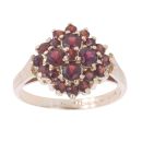 9ct Yellow Gold Garnet Cluster Ring