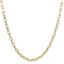 9ct Yellow Gold Belcher Chain 22"
