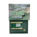 Rolex GMT Master 'Pepsi' Pre Owned Watch Ref 16700