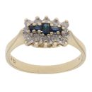 9ct Yellow Gold 0.30ct Diamond And Sapphire Cluster Ring