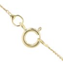 9ct Yellow Gold Horn Of Plenty Pendant and Chain 18"