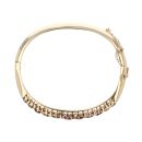 9ct Yellow Gold 0.10ct Diamond And Garnet Bangle