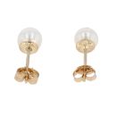 9ct Yellow Gold Freshwater Pearl Stud Earrings