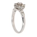 Platinum 1.00ct Brilliant Cut Diamond Cluster Ring