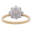 18ct Yellow Gold 0.45ct Brilliant Cut Diamond Cluster Ring