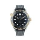 Omega Seamaster Pre Owned Watch Ref 21022422001001