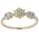 9ct Yellow Gold 0.30ct Brilliant Cut Diamond Cluster Ring