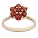 9ct Yellow Gold Garnet Cluster Ring