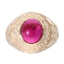 9ct Yellow Gold Red Gemstone College Ring