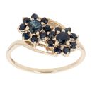 9ct Yellow Gold Sapphire Double Cluster Ring