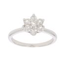9ct White Gold 0.50ct Brilliant Cut Diamond Cluster Ring