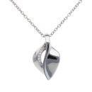 925 Sterling Silver Cubic Zirconia Leaf Pendant and Chain 18"