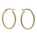 Silver Gold Plated Oval Hoop Earrings