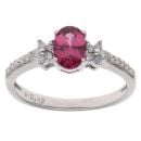 9ct White Gold 0.18ct Diamond And Garnet Ring