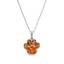 Sterling Silver Baltic Amber Animal Dog Paw Print Pendant Necklace