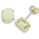 18 Carat Yellow Gold Opal-2.04ct Stud Earrings
