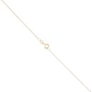 9ct Yellow Gold Welsh Feathers Pendant and Chain 16"