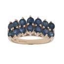 9ct Yellow Gold Two Row Sapphire Ring