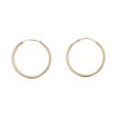 9ct Yellow Gold Hoop Earrings