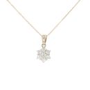 9ct Yellow Gold 0.50ct Diamond Cluster Pendant And Chain 18"