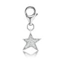 Angel Whisperer Star Charm
