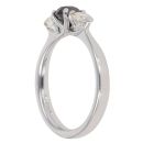 18ct White Gold 0.85ct Brilliant Cut Black And White Diamond Trilogy Ring