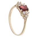 9ct Yellow Gold Garnet And Cubic Zirconia Cluster Ring