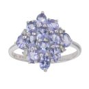 9ct White Gold Tanzanite and 0.05ct Diamond Cluster Ring
