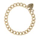 9ct Yellow Gold Charm Bracelet 8"
