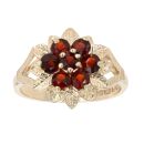 9ct Yellow Gold Garnet Cluster Ring