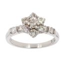 Platinum 1.00ct Brilliant Cut Diamond Cluster Ring