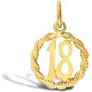 9ct Yellow Gold 18 Rope Pendant