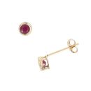 9ct Yellow Gold Ruby Stud Earrings