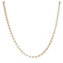 9ct Yellow Gold Belcher Chain 22"