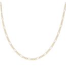 9ct Yellow Gold Figaro Chain 22"