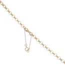 9ct Yellow Gold Belcher Chain 22"