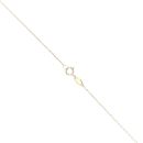 9ct Yellow Gold & White Gold Star Pendant & Chain 18"