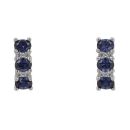 Silver Stone Set Blue Gemstone Drop Stud Earrlings By Icesia
