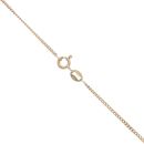 9ct Yellow Gold 0.01ct Diamond and Sapphire Pendant and Chain 18"