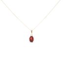 9ct Yellow Gold Garnet Pendant And Chain 18"