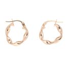 9ct Yellow Gold Twist Earrings