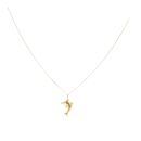 9ct Yellow Gold Dolphin Pendant And Chain 18"