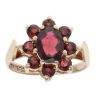 9ct Yellow Gold Garnet Cluster Ring