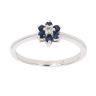 18ct White Gold 0.01ct Diamond And Sapphire Cluster Ring